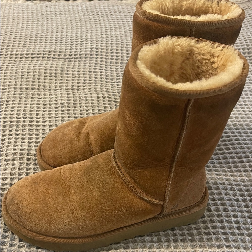UGG Classic Short Suede Boots in Chestnut Brown